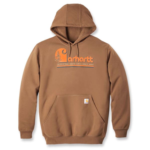 Carhartt Snow Graphic Hooded Sweatshirt